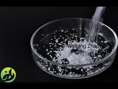 Бронполь-Вейфан Чжаоюй